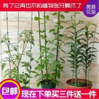 [买三送一]爬藤架花架植物攀爬架铁艺架月季铁线莲花架爬藤支架