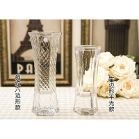 富贵竹转运珠的花瓶干花培绿萝百合玻璃花瓶透明客厅装饰品摆件