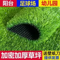 室外室内装饰人工坪户外阳台幼儿园楼顶绿植地毯仿真人造坪皮