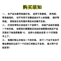 养殖保温灯泡防防爆红外线取暖灯泡畜牧猪用保温灯仔猪保暖灯泡