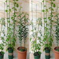 免安装[买三送一]爬藤支架花支架攀爬藤本植物花架铁艺撑花架子