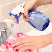 2个装 手压式园艺小喷壶洒壶浇花壶喷雾壶植物家用喷壶浇壶