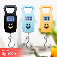 [防利器]盼超小巧便携手提秤高精度买菜称重50kg不勒手带电池