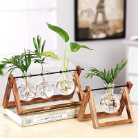 财树袖珍椰子竹柏罗汉松绿萝办公桌室内培植物如意皇后吸甲醛