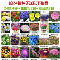 25种蔬菜种子四季套餐 易种阳台农家田园种菜莓白菜青菜籽香菜
