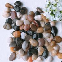 [5斤装]天然雨花石鹅卵石盆栽鱼缸花盆多肉装饰盆栽园艺小石头