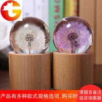 紫色蒲公英标本水晶球音乐盒八音盒老师情人节七夕生日礼物送女生