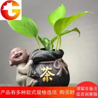 创意绿萝水培花瓶陶瓷水养植物器皿花盆容器家用室内插花花器摆件