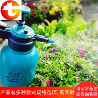 喷壶浇花家用喷雾瓶园艺洒水壶气压式喷雾器小型压力浇水壶喷水壶