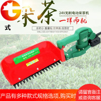 电动采茶机单人小型电动便携式手提充电式24v多功能摘茶机绿篱机