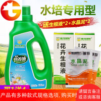 德沃多植物营养液600ml水培专用绿萝铜钱草发财树富贵竹吊兰花肥