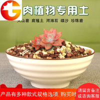 长白山防烂根多肉土专用花土种植土泥土植物多肉营养土大 邮