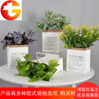 仿真北欧植物装饰小摆件室内植物卧室ins风绿植装饰迷你创意盆景