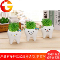可爱牙齿盆栽摆件 家居绿植草娃娃 办公室创意花盆 迷你植物