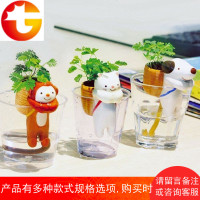 背包客含羞草种植儿童可爱创意迷你植物微景观桌面摆件盆栽