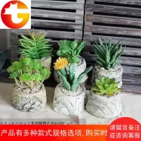 多肉花盆 迷你仿真小植物盆栽 创意搁板陶瓷摆件 仿真石头盆栽