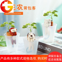 背包客生日礼物礼品桌面吸水迷你盆栽含羞草diy创意植物