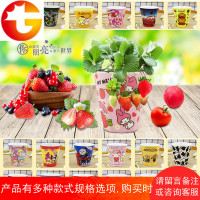 卡通图案蔬菜花卉园艺种子diy创意儿童种植迷你植物办公室小盆栽