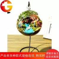 生态瓶苔藓微景观diy材料植物创意小盆栽迷你青苔可爱玻璃瓶礼物