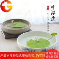 一叶莲碗莲水培植物阳台客厅花卉水培创意简约