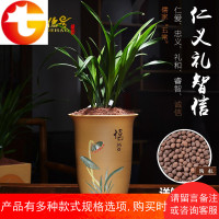 宜兴紫砂君子兰花盆吊兰建兰四季兰陶瓷紫砂盆兰花盆专用盆