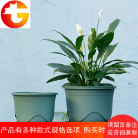 国产控根盆矮胖浅款加厚塑料花盆排水透气青山盆家用种植加仑盆