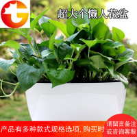 自动吸水懒人花盆特大绿萝花卉桌面客厅阳台花架双层树脂花盆
