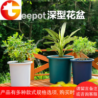 大号深型Deepot花盆爱丽丝大口径圆形花盆家用塑料盆景