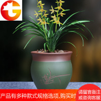 紫砂兰花盆 桌面中等植物种植春兰盆 盆景君子兰圆形紫砂花盆