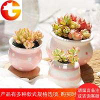 粉红布丁花盆 少女萌系陶瓷多肉绿植盆栽花盆肉肉花盆