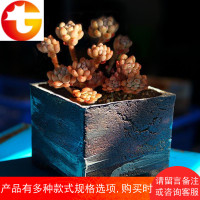 麦饭石多肉花盆大颗粒粗陶超透气景德镇手工花盆方大口径老桩群生