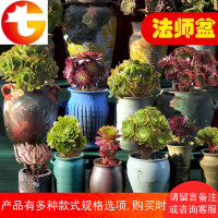 法师老桩盆小多肉花盆景德镇陶瓷控型盆粗陶复古透气高筒老庄大号