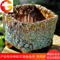 景德镇特大口径多肉群生爆裂陶罐法师老桩花盆虎皮兰发财树专用盆