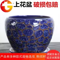 花盆陶瓷特价清仓大号特大号家用多肉小花盆塑料紫砂绿萝吊兰兰花