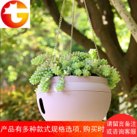 多肉吊兰塑料垂挂花盆懒人自吸水阳台吊盆室内外绿萝树脂悬挂吊篮