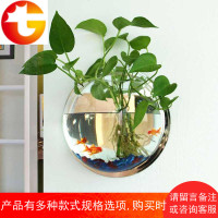 壁挂水培创意绿萝花盆挂壁挂墙花盆壁挂鱼缸墙上花卉植物花盆花瓶