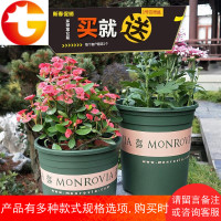 军绿色月季多肉花盆创意树脂塑料花盆绿萝园艺通用花盆