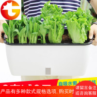 家庭长方形阳台种菜花盆室外蔬菜种植庭院花槽懒人自吸水塑料花盆