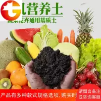 多肉营养土专用育苗基质种植土壤盆栽养花通用型花土珍珠岩 邮