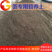 芦荟专用花土 盆栽食用芦荟有机营养土 多浆植物专用土 大 邮