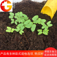 花泥营养土通用型大 包 花肥养花种花种菜种植多肉泥土花土土壤