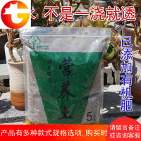 营养土 通用配方绿植蔬菜多肉培养土绿萝发财树多肉植物花土