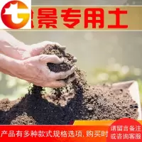 金弹子盆景土梅花泥土榕树土老桩土沙土专用营养土花土海棠种植土