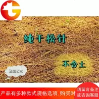 长白山纯落叶松腐熟松针土绿萝君子兰杜鹃专用混合土花土