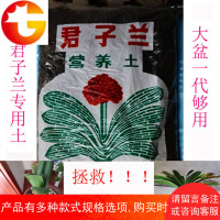 君子兰土营养土栽培土培养腐叶土松软透气防烂根家用花土扦插专用