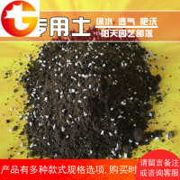 绿萝专用花土栀子花茉莉文竹吊兰土壤长寿花营养土花卉盆栽土 邮