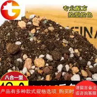 多肉土专用营养土多肉植物土颗粒土泥炭土种植土铺面石有机土花土