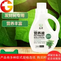 发财树专用营养液金钱树幸福树盆栽花肥料专用肥三元复合肥