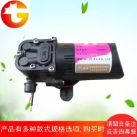 农用电动喷雾器专用水泵 12V压力水泵微型高压水泵 隔膜泵