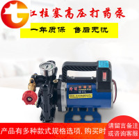 手提式打药机农用电动果树喷雾器12V48V60V220伏高压双缸柱塞药泵